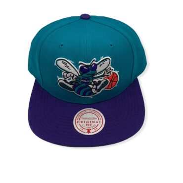Mitchell & Ness Charlotte Hornets Team 2 Tone 2.0 Teal/Purple Adjustable Snapback Hat Cap
