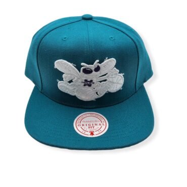 Mitchell & Ness Charlotte Hornets Color Popz Hardwood Classics Teal Adjustable Snapback Hat Cap
