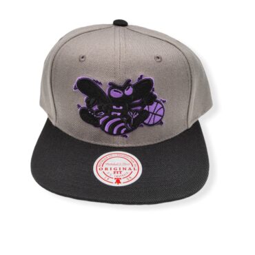 Mitchell & Ness Charlotte Hornets Neon Lights HWC Adjustable Snapback Hat Cap