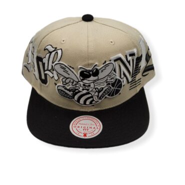 Mitchell & Ness Charlotte Hornets Hype Type Hardwood Classics Cream Adjustable Snapback Hat
