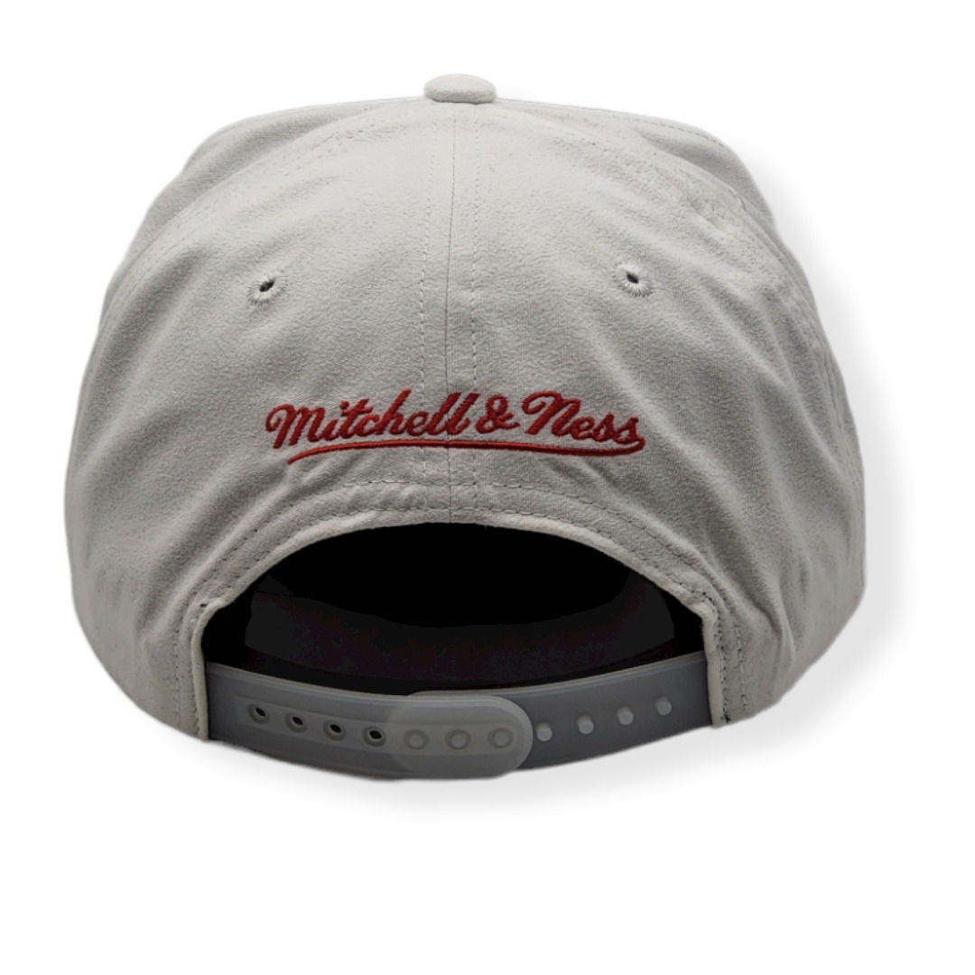 Mitchell & Ness Chicago Bulls Day 5 Grey/White Hardwood Classics Adjustable Snapback Hat Cap