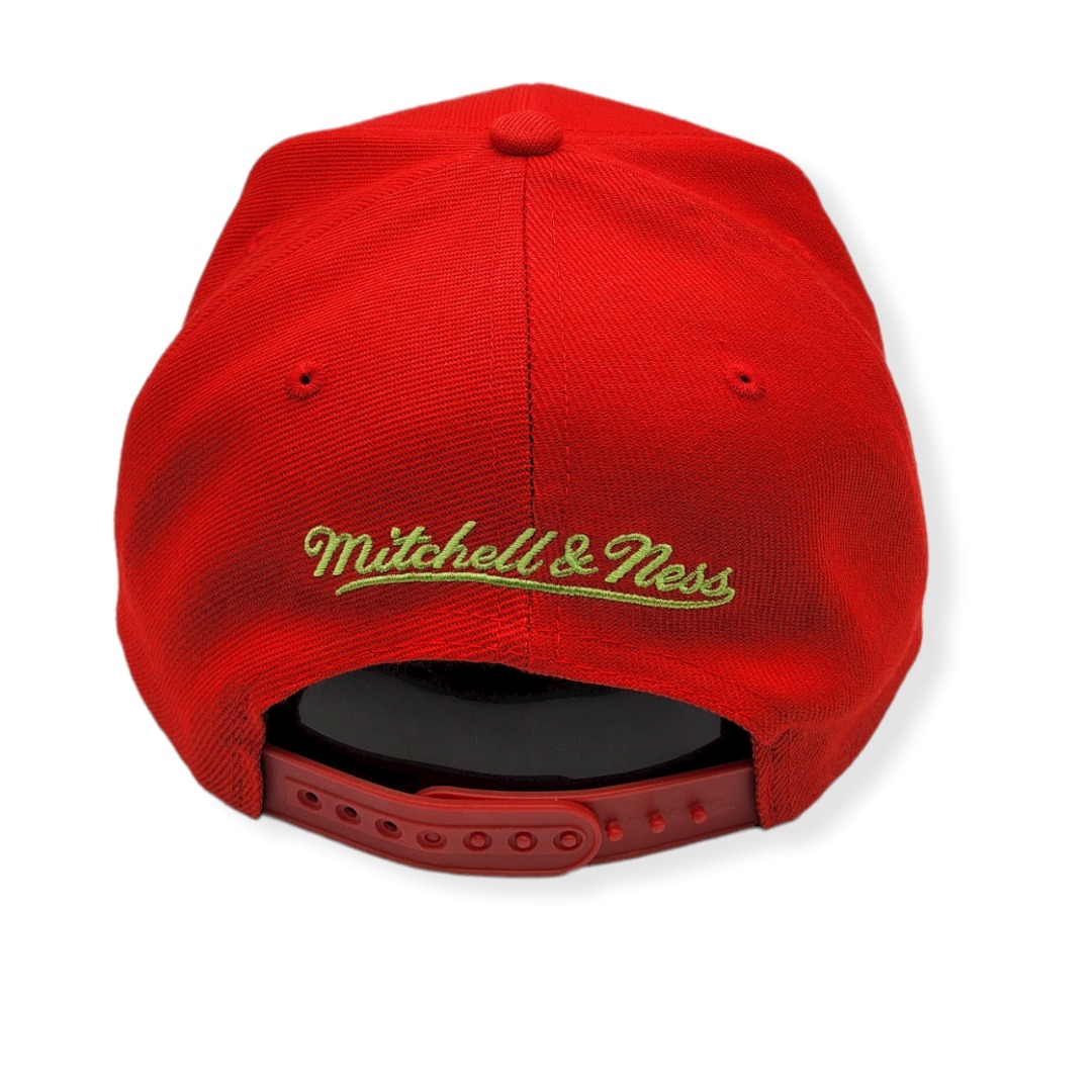 Mitchell & Ness Memphis Grizzlies Reverse Grinch Adjustable Snapback Hat Cap