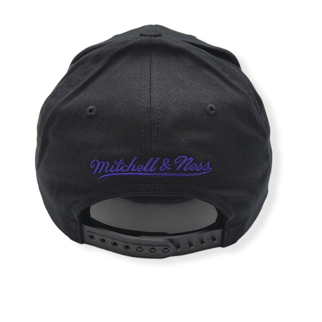 Mitchell & Ness Toronto Raptors 110 Flexfit Hardwood Classics Adjustable Snapback Hat Cap