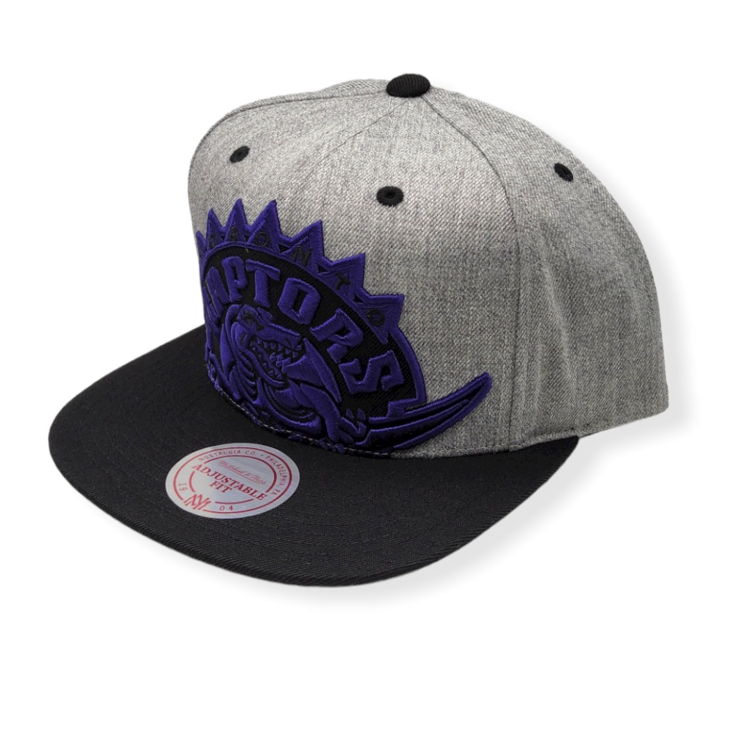Mitchell & Ness Toronto Raptors Cropped XL Heather Hardwood Classics Adjustable Snapback Hat Cap