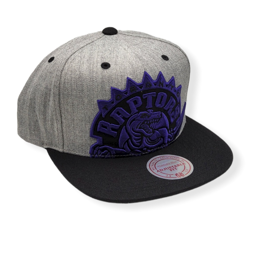 Mitchell & Ness Toronto Raptors Cropped XL Heather Hardwood Classics Adjustable Snapback Hat Cap