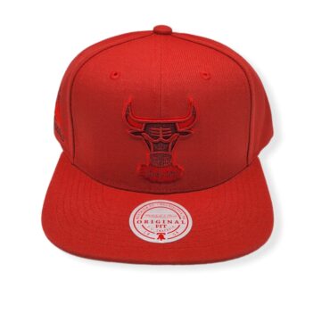 Mitchell & Ness Chicago Bulls Monochromatic 1991 Finals Adjustable Snapback Hat Cap