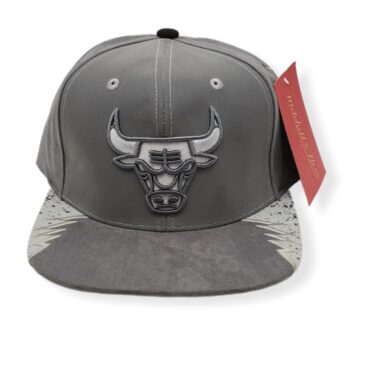 Mitchell & Ness Chicago Bulls Day 5 Grey Hardwood Classics Adjustable Snapback Hat Cap