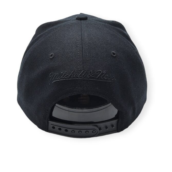 Mitchell & Ness Los Angeles Football Iridescent Script Adjustable Snapback Hat Cap