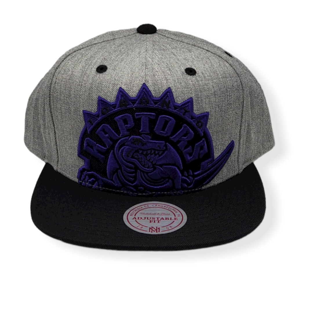 Mitchell & Ness Toronto Raptors Cropped XL Heather Hardwood Classics Adjustable Snapback Hat Cap