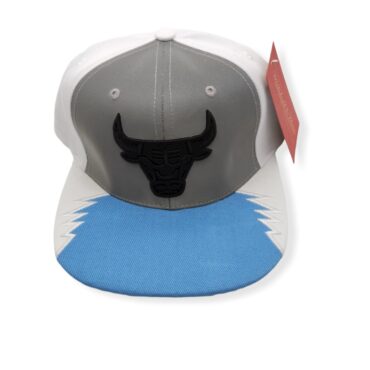 Mitchell & Ness Chicago Bulls Day 5 White/Blue Hardwood Classics Adjustable Snapback Hat Cap