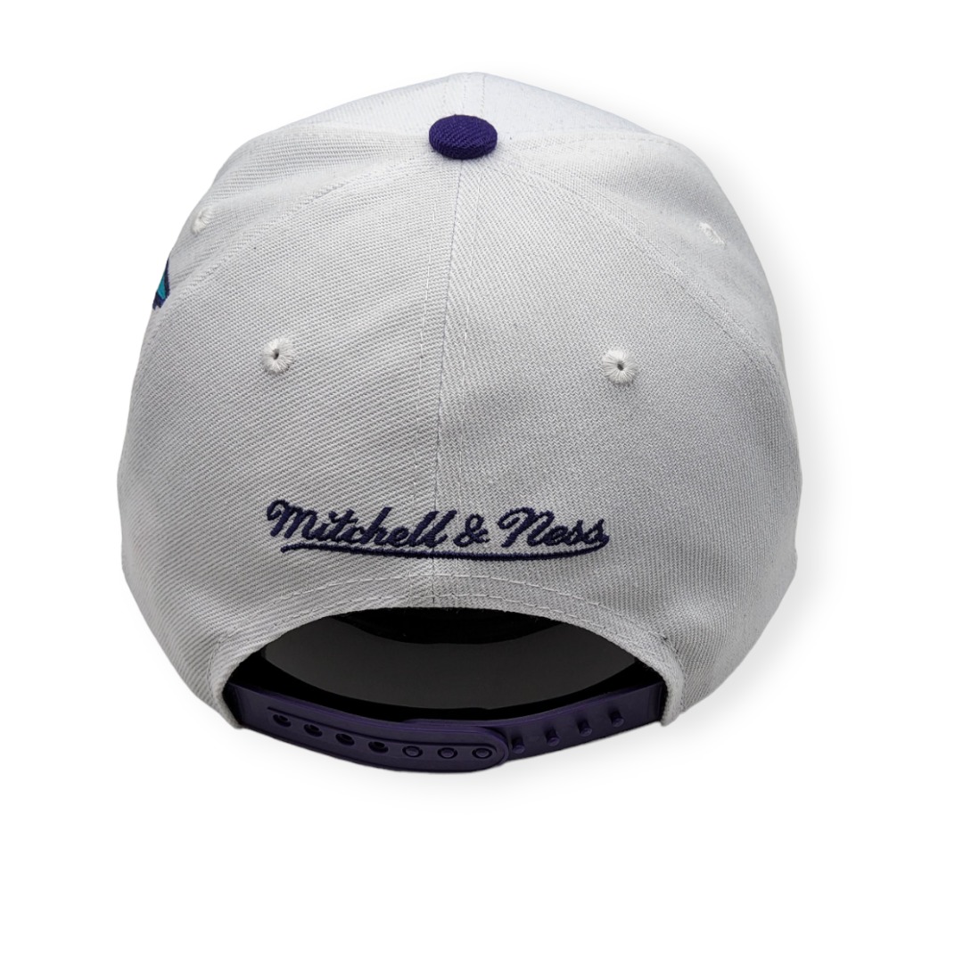Mitchell & Ness Charlotte Hornets Fast Times White Adjustable Snapback Hat Cap
