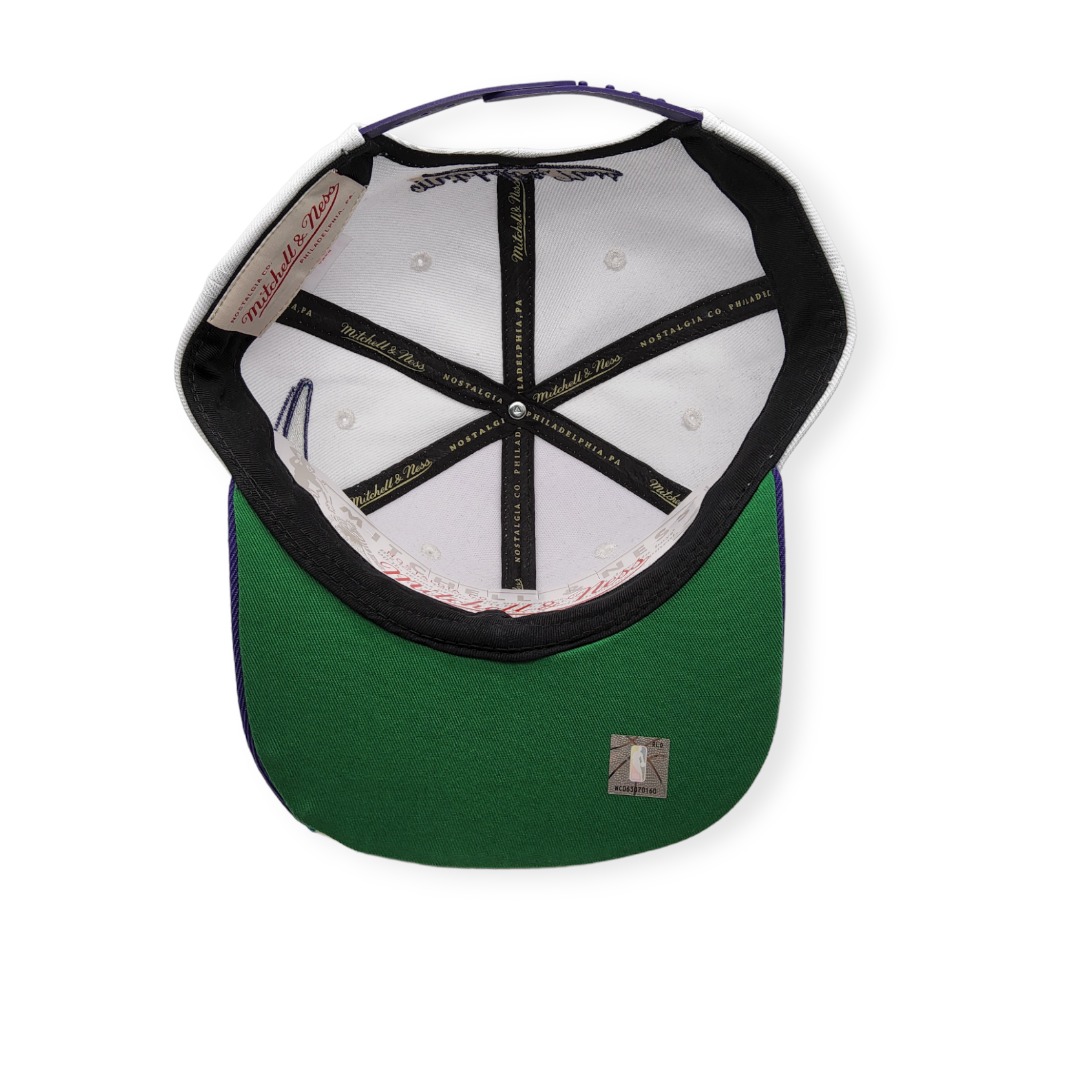 Mitchell & Ness Charlotte Hornets Fast Times White Adjustable Snapback Hat Cap