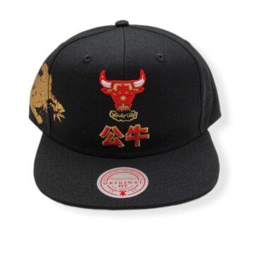 Mitchell & Ness Chicago Bulls Water Tiger Hardwood Classics Adjustable Snapback Hat Cap