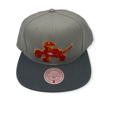 Mitchell & Ness Toronto Raptors Cool Grey 3 2 Tone Hardwood Classics Adjustable Snapback Hat Cap