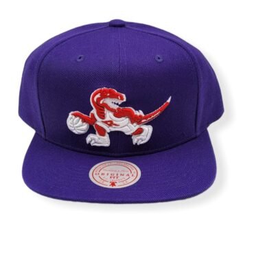 Mitchell & Ness Toronto Raptors Color Popz Hardwood Classics Adjustable Snapback Hat Cap