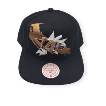 Mitchell & Ness Philadelphia 76ers Paint By Number Hardwood Classics Black Adjustable Snapback Hat Cap