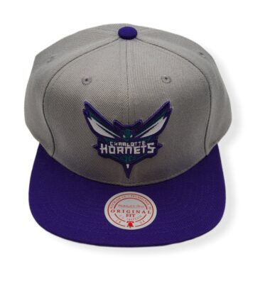 Mitchell & Ness Charlotte Hornets Core Basic Grey/Purple Adjustable Snapback Hat Cap