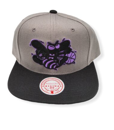 Mitchell & Ness Charlotte Hornets Neon Lights HWC Adjustable Snapback Hat Cap