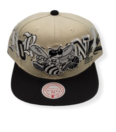 Mitchell & Ness Charlotte Hornets Hype Type Hardwood Classics Cream Adjustable Snapback Hat