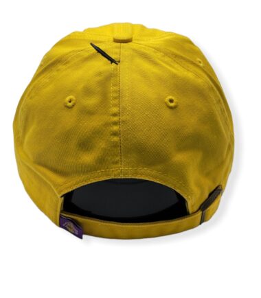 47-Lakers-Clean-Up-Yellow-191119344922-04.jpg