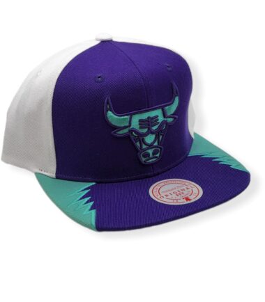 MN-Bulls-Day-5-Purple-195563039274-03.jpg