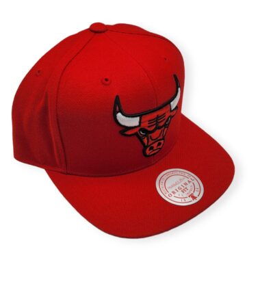 MN-Bulls-Team-Ground-697589245412-03.jpg