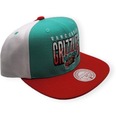 MN-Grizzlies-Billboard-2-HWC-Purple-Teal-196945018627-03.jpg