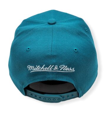 MN-Hornets-Color-Popz-Teal-195563292419-04.jpg