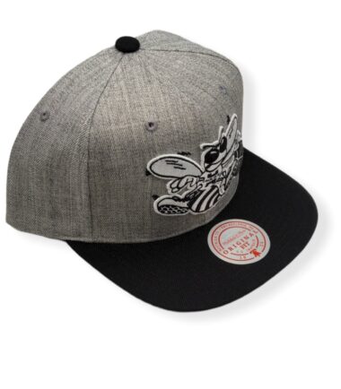 MN-Hornets-Grey-Black-Pop-194582239764-03.jpg