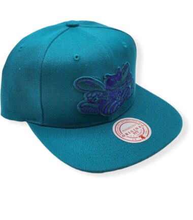 MN-Hornets-Two-Tonal-Teal-195563657249-03.jpg