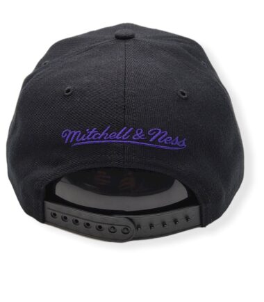 MN-Lakers-Team-Pop-697589044107-04-1.jpg