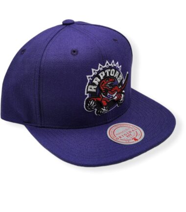 MN-Raptors-Team-Ground-V2-195563837818-03.jpg