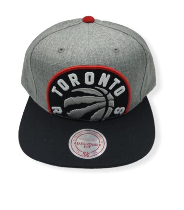 Mitchell & Ness Toronto Raptors Cropped XL Logo Heather 2 Tone Adjustable Snapback Hat Cap