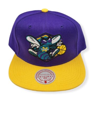 Mitchell & Ness Charlotte Hornets Core Basic Hardwood Classics Purple/Gold Adjustable Snapback Hat Cap