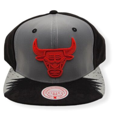 Mitchell & Ness Chicago Bulls Day 5 Grey/Black Hardwood Classics Adjustable Snapback Hat Cap
