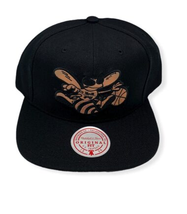 Mitchell & Ness Charlotte Hornets Iridescent HWC Adjustable Snapback Hat Cap