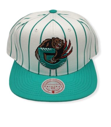 Mitchell & Ness Vancouver Grizzlies Retro Pinstripe Adjustable Snapback Hat Cap